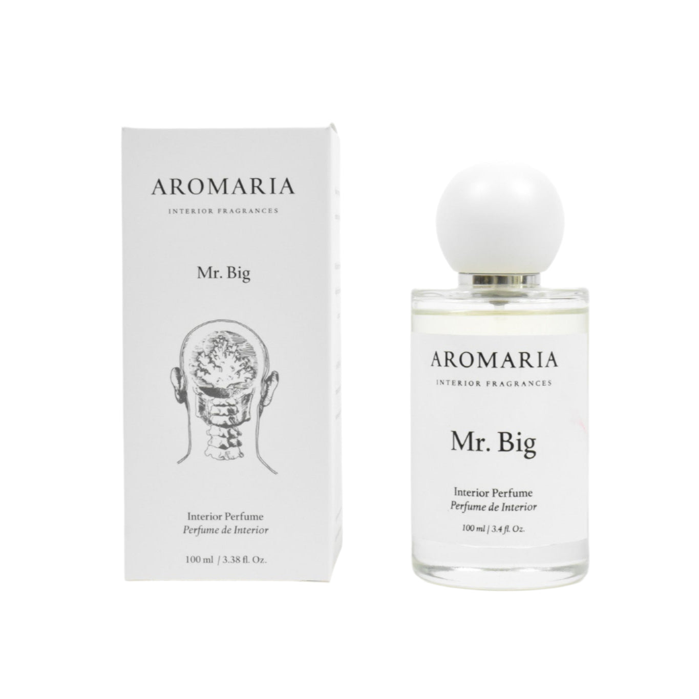 Room Spray 100ml - Mr. Big