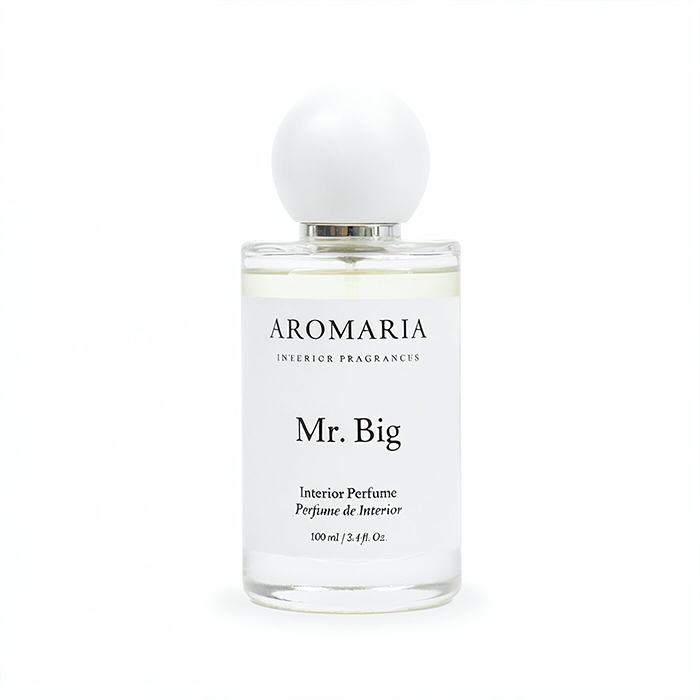 Room Spray 100ml - Mr. Big