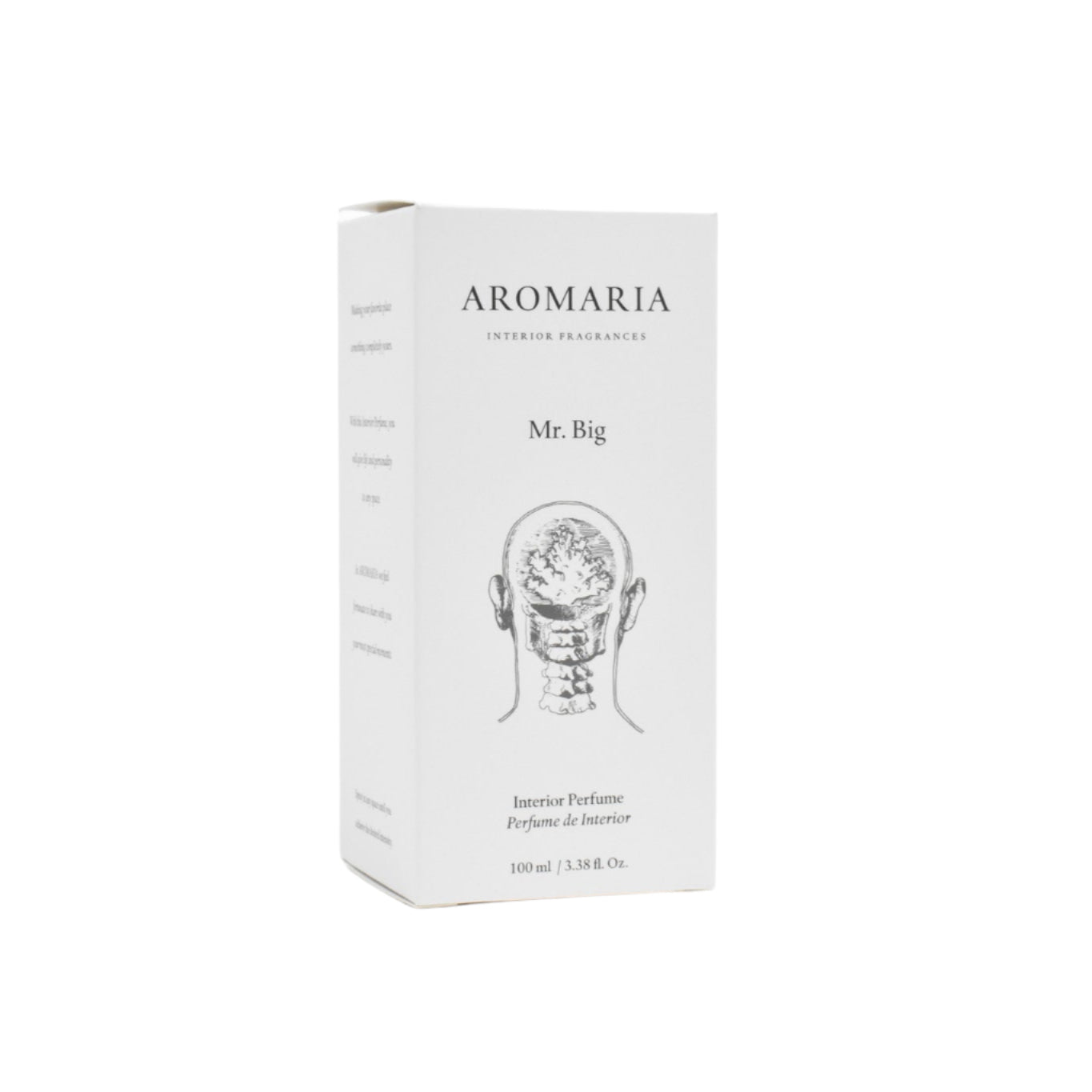 Room Spray 100ml - Mr. Big