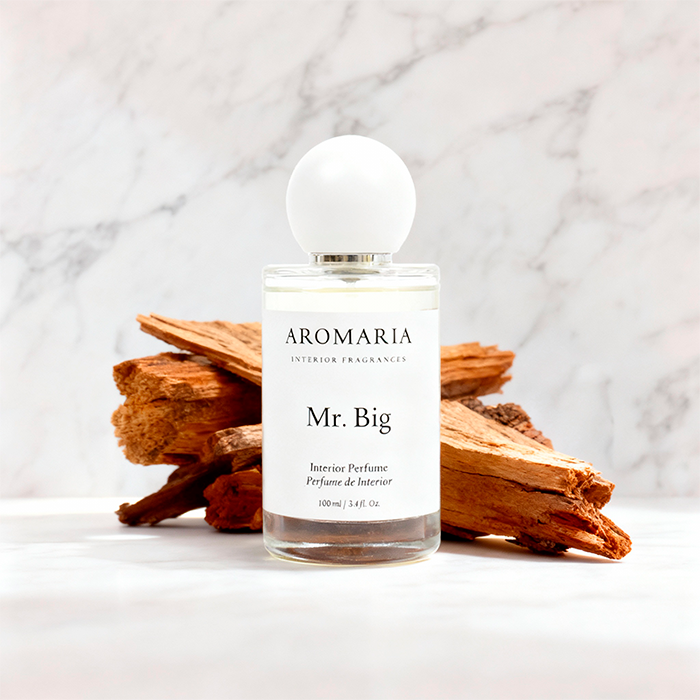 Room Spray 100ml - Mr. Big